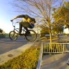 Reeve’s Lotek Edit