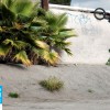 Randy Brown – Wallpaper